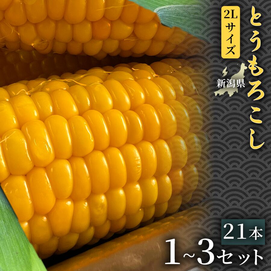 【令和8年産先行予約】とうもろこし 21本 2Lサイズ 1セット 3セット 選べるセット数 | とうもろこし スイートコーン 野菜 やさい 自然の甘み 極甘スイートコーン フルーツとうもろこし 旬の味覚 おすすめ お取り寄せ 産地直送 新潟県 津南町