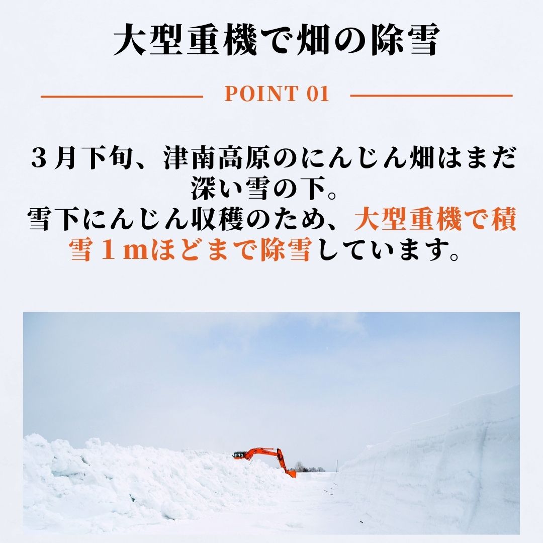 【ふるさと納税】【令和8年産先行予約】津南の雪下にんじん 3kg 7kg 雪下 雪の下 ゆきのした にんじん 人参 ニンジン キャロット 野菜 やさい 野菜スティック サラダ 新潟県 津南町 - 画像2