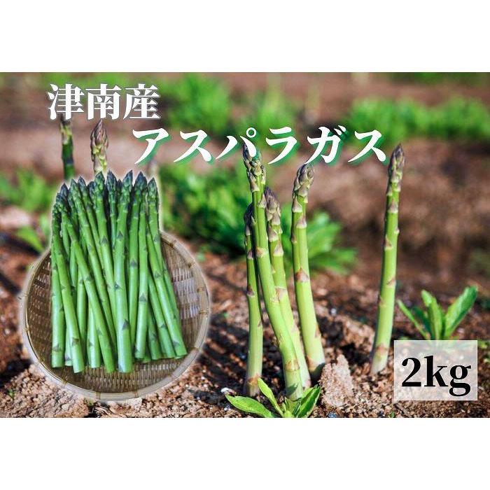 【令和8年産 先行予約】 朝取り アスパラガス 1kg〜2kg バラ詰め ( L〜2Lサイズ ) 選べる容量 | グリーン アスパラ あすぱら 野菜 やさい 食品 サラダ 天ぷら バーベキュー 焼肉 新潟県 津南町
