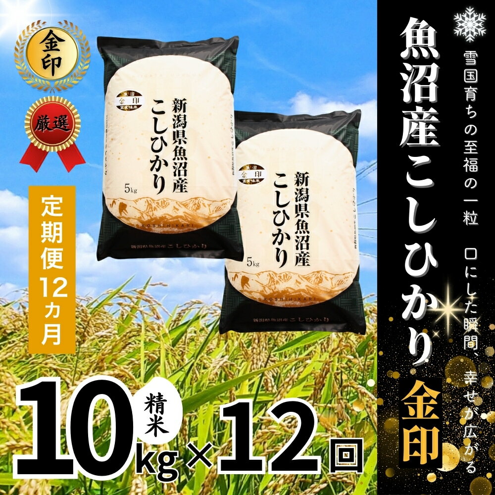 【ふるさと納税】 高食味米 10kg ( 5kg × 2袋 ) 令和7年産 魚沼産 コシヒカリ 金印 ( 一等米の中から厳選 ) 選べる配送回数 | 白米 精米 こしひかり 米 こめ お米 ブランド米 おすすめ 新潟県 津南町 - 画像3