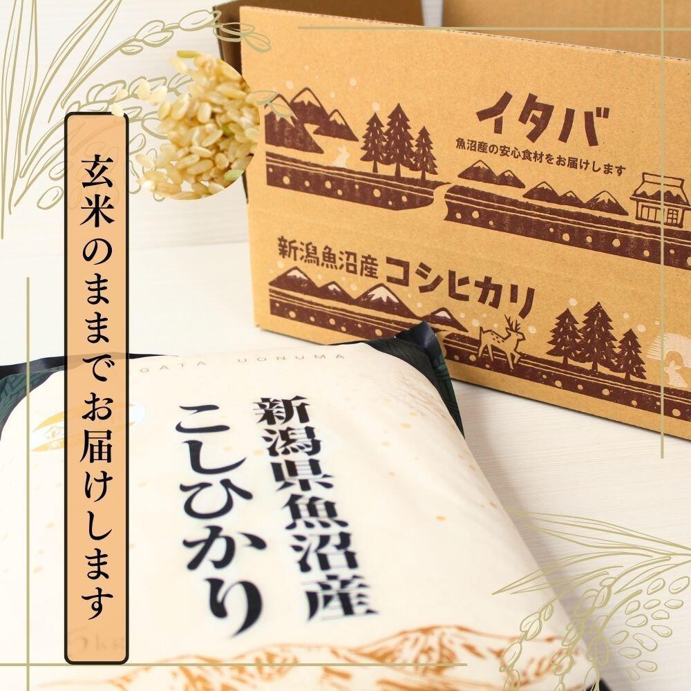 【ふるさと納税】 高食味米 玄米 5kg 令和7年産 魚沼産 コシヒカリ 金印 ( 一等米の中から厳選 ) | こしひかり 米 こめ コメ お米 おこめ ブランド米 おすすめ ギフト プレゼント 新潟県 津南町 - 画像2