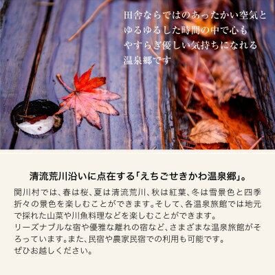 【ふるさと納税】選ばれる温泉体験 3,000円分の温泉宿泊利用券【1278597】 サムネイル3
