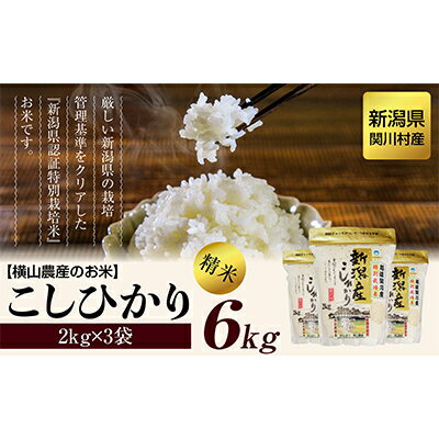 R7年産 関川村産こしひかり 精米6kg(2kg×3袋) ふっくら美味しさ 岩船米 [横山農産]_ 白米 国産米 高品質 ごはん 美味しい 人気 おすすめ 送料無料 【1347088】
