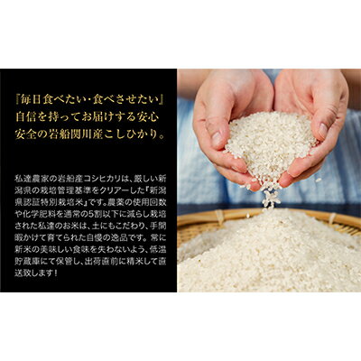 【ふるさと納税】R7年産 関川村産こしひかり 精米6kg(2kg×3袋) ふっくら美味しさ 岩船米 [横山農産]_ 白米 国産米 高品質 ごはん 美味しい 人気 おすすめ 送料無料 【1347088】 - 画像2