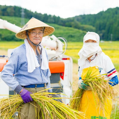 【ふるさと納税】R7年産 関川村産こしひかり 精米6kg(2kg×3袋) ふっくら美味しさ 岩船米 [横山農産]_ 白米 国産米 高品質 ごはん 美味しい 人気 おすすめ 送料無料 【1347088】 - 画像3
