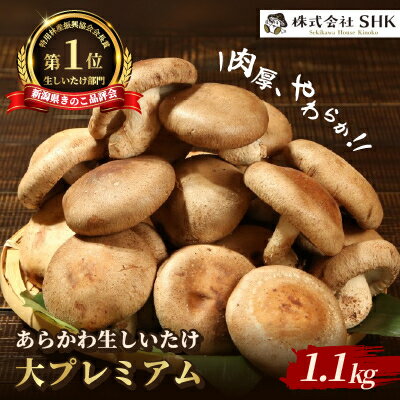肉厚、やわらか!あらかわ生しいたけ大プレミアム【配送不可地域：離島】【1442522】