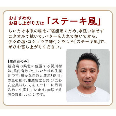 【ふるさと納税】肉厚、やわらか!あらかわ生しいたけ大プレミアム【配送不可地域：離島】【1442522】 - 画像2