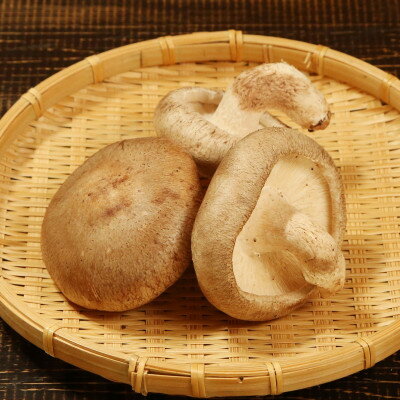 【ふるさと納税】肉厚、やわらか!あらかわ生しいたけ大プレミアム【配送不可地域：離島】【1442522】 - 画像3