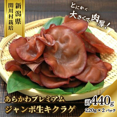 あらかわプレミアムジャンボ生キクラゲ220g×2パック【配送不可地域：離島】【1442523】