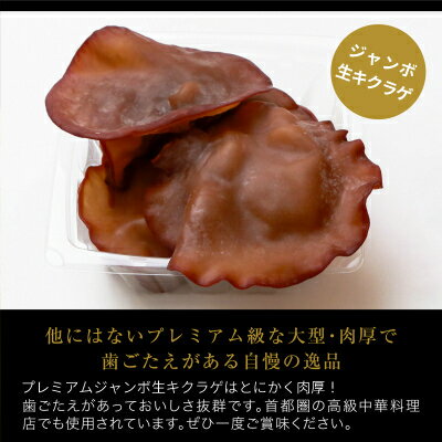 【ふるさと納税】あらかわプレミアムジャンボ生キクラゲ220g×2パック【配送不可地域：離島】【1442523】 - 画像2