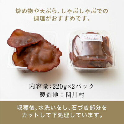 【ふるさと納税】あらかわプレミアムジャンボ生キクラゲ220g×2パック【配送不可地域：離島】【1442523】 - 画像3