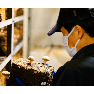 【ふるさと納税】あらかわ乾燥しいたけセット(丸40g・スライス40g・ミンチ50g)【1442526】 - 画像2