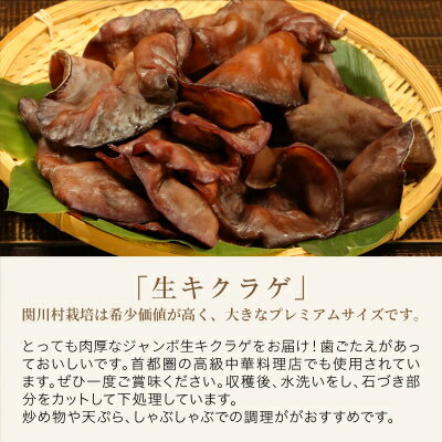 【ふるさと納税】あらかわキクラゲ生・乾燥セット(生キクラゲ220g×2パック・乾燥キクラゲ30g×2パック)【配送不可地域：離島】【1442531】 - 画像2