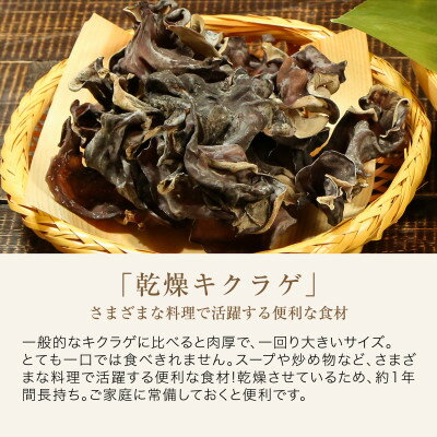 【ふるさと納税】あらかわキクラゲ生・乾燥セット(生キクラゲ220g×2パック・乾燥キクラゲ30g×2パック)【配送不可地域：離島】【1442531】 - 画像3
