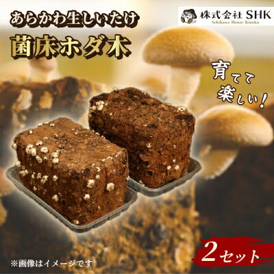 育てて楽しい!あらかわ生しいたけ菌床ホダ木 2セット【1442536】