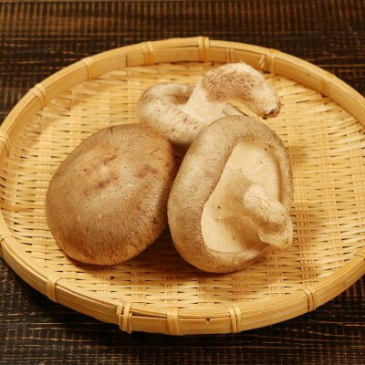 【ふるさと納税】育てて楽しい!あらかわ生しいたけ菌床ホダ木 2セット【1442536】 - 画像2