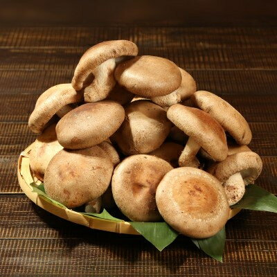 【ふるさと納税】あらかわ生しいたけ　大したもんじゃセット(生しいたけ、乾燥しいたけミンチ、乾燥キクラゲ)【配送不可地域：離島】【1442540】 - 画像2