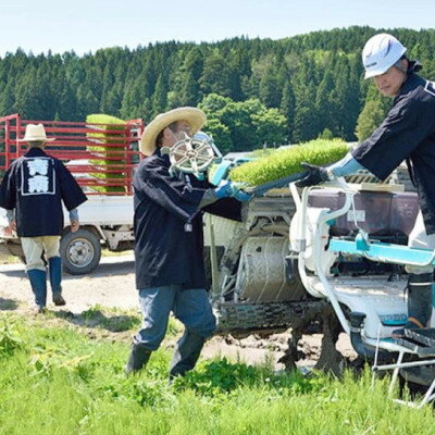 【ふるさと納税】R7年産 新潟県岩船産 コシヒカリ玄米30kg　米食味鑑定士が厳選吟味した1等米 [青南総合農園]【1693748】 - 画像3
