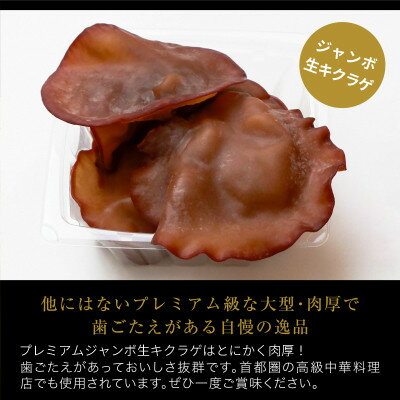 肉厚でプレミアムジャンボ!あらかわ生しいたけ&生キクラゲセット【配送不可地域：離島】【1718291】