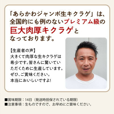 【ふるさと納税】肉厚でプレミアムジャンボ!あらかわ生しいたけ&生キクラゲセット【配送不可地域：離島】【1718291】 - 画像2