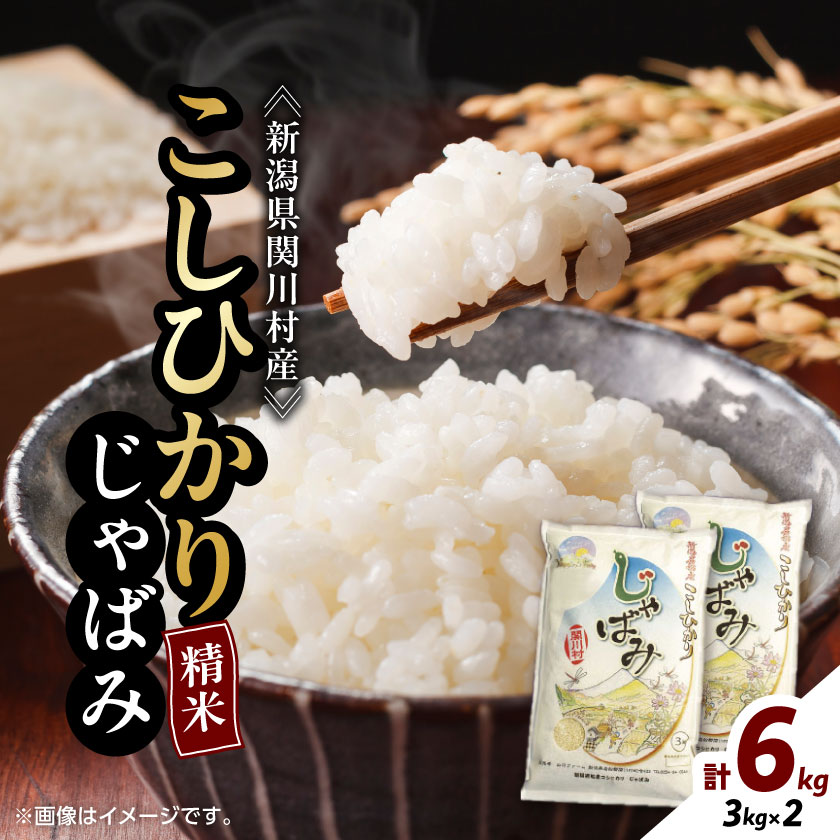 ふっくら食感!R7年産 関川村産コシヒカリ6kg(3kg×2) 丁寧に育てた贅沢米 [山口ファーム]_ 米 こめ コメ おこめ 精米 精白米 こしひかり お米 国産 新潟県 産地直送 ブランド米 贈答 ギフト 白米 ごはん 白飯 2袋 じゃばみ 【1344366】