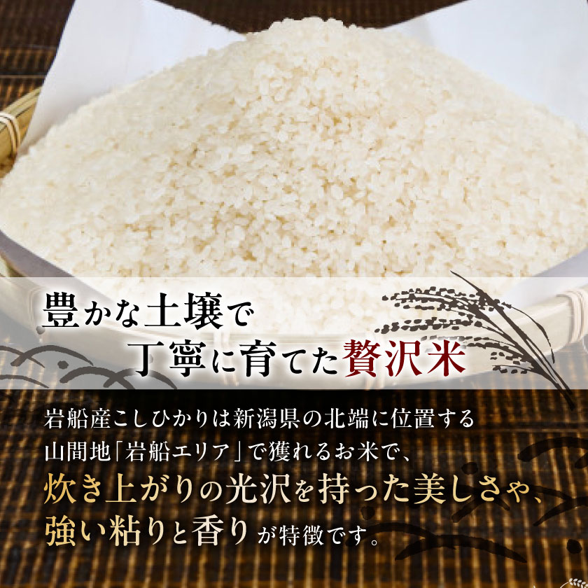 【ふるさと納税】ふっくら食感!R7年産 関川村産コシヒカリ6kg(3kg×2) 丁寧に育てた贅沢米 [山口ファーム]_ 米 こめ コメ おこめ 精米 精白米 こしひかり お米 国産 新潟県 産地直送 ブランド米 贈答 ギフト 白米 ごはん 白飯 2袋 じゃばみ 【1344366】 - 画像3