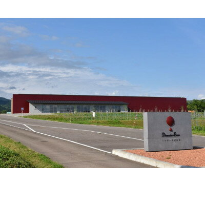 【ふるさと納税】ギフト向け【ワインコンクール受賞】富山県南砺市　ドメーヌボー　ルージュ　2022【配送不可地域：離島】【1333541】 サムネイル2