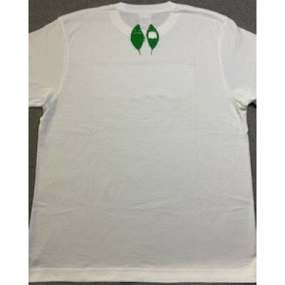 【ふるさと納税】富山県有峰森林文化村Tシャツ　Sサイズ【1583895】 サムネイル3