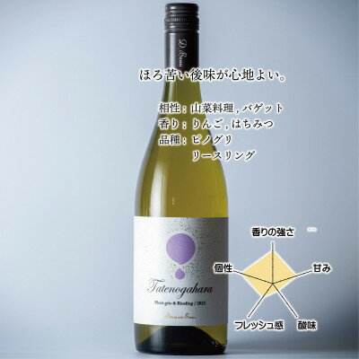 【ふるさと納税】立野原 ピノグリ&リースリング 2023【配送不可地域：離島】【1623349】 サムネイル2
