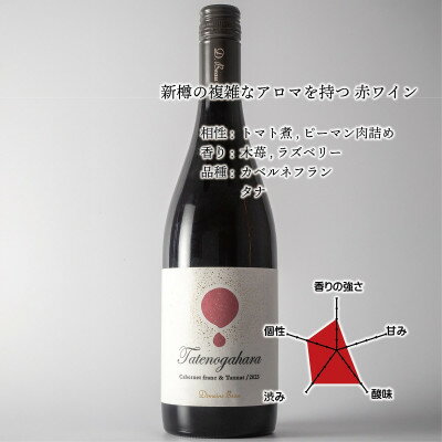 【ふるさと納税】立野原 カベルネフラン&タナ 2023【配送不可地域：離島】【1623378】 サムネイル2