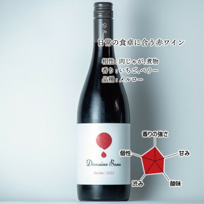 【ふるさと納税】ドメーヌボー メルロー 2022【配送不可地域：離島】【1623393】 サムネイル2