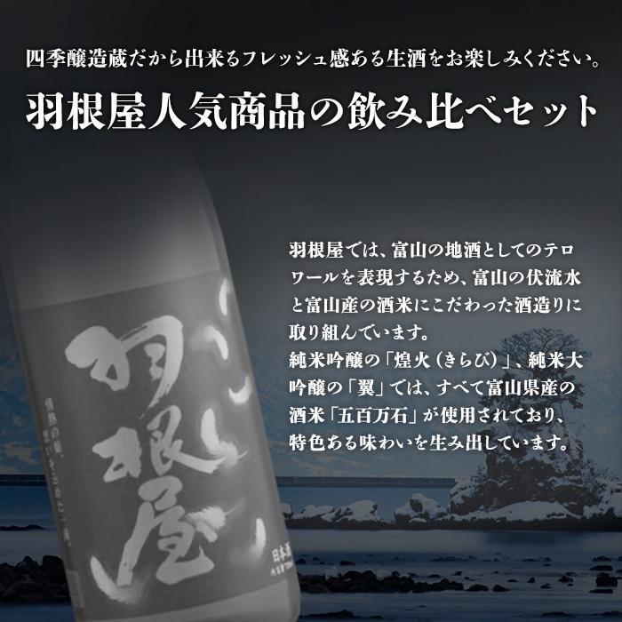 【ふるさと納税】羽根屋 日本酒 720ml×2本 純米大吟醸 翼 ＆ 純吟 煌火 | 酒 お酒 飲み比べ セット 清酒 地酒 お取り寄せ 名産品 お土産 大吟醸酒 純米大吟醸酒 支援 支援品 返礼品 特産品 ご当地 純米吟醸 生酒 飲み比べセット ギフト サムネイル2