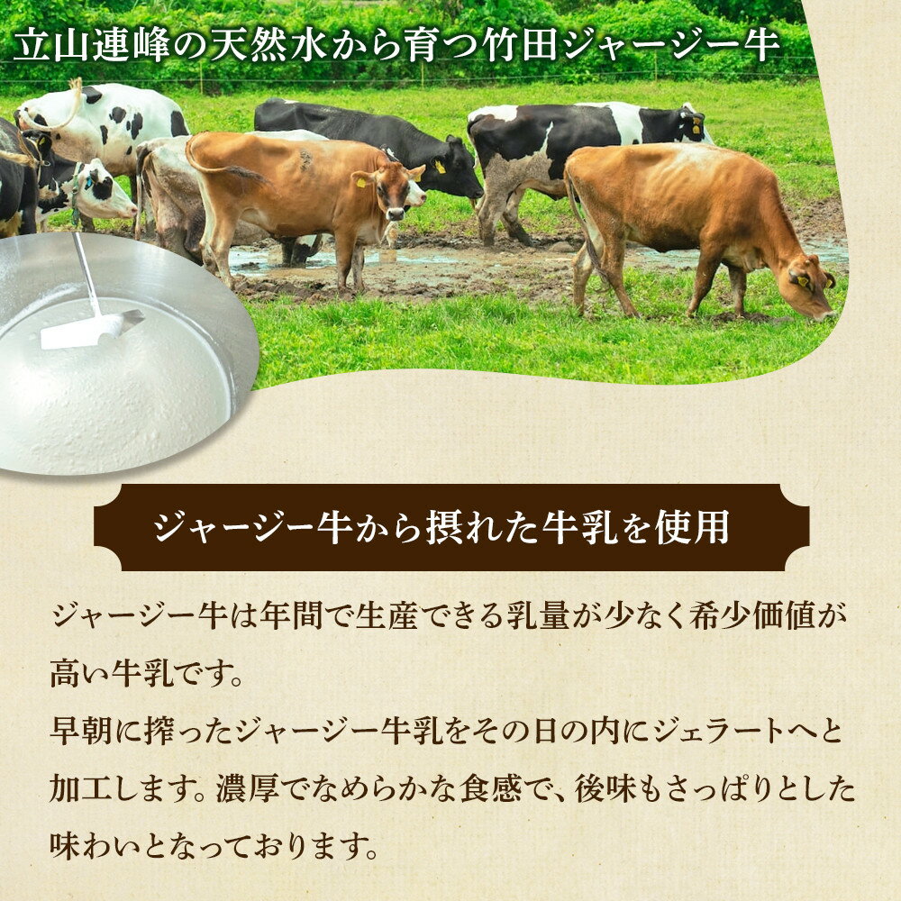【ふるさと納税】ジャージー牛乳の濃厚ジェラート！竹田ジェラート｜濃厚ミルク味｜2000ml | 大容量 アイス ジェラート ミルク 竹田 富山 スイーツ デザート お取り寄せ 濃厚アイス 牧場スイーツ スイーツギフト 高級 乳牛ジェラート ミルクアイス 人気 おすすめ 送料無料 - 画像2