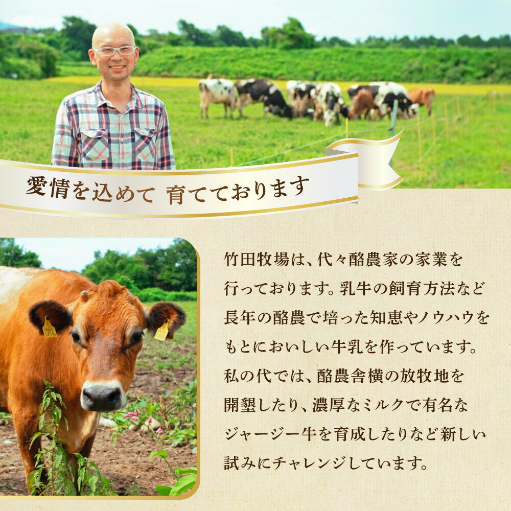 【ふるさと納税】ジャージー牛乳の濃厚ジェラート！竹田ジェラート｜濃厚ミルク味｜2000ml | 大容量 アイス ジェラート ミルク 竹田 富山 スイーツ デザート お取り寄せ 濃厚アイス 牧場スイーツ スイーツギフト 高級 乳牛ジェラート ミルクアイス 人気 おすすめ 送料無料 - 画像3