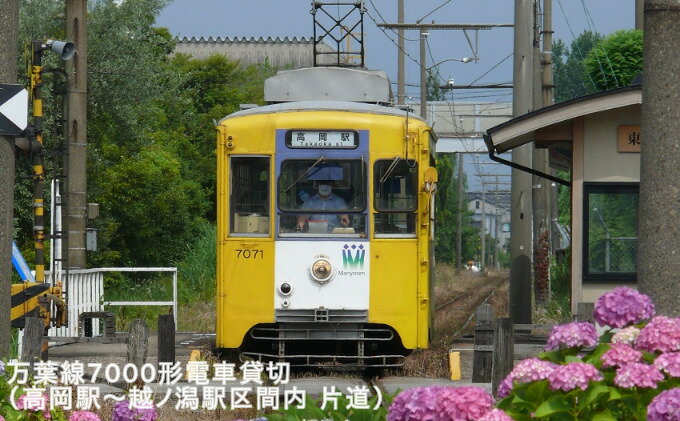 【ふるさと納税】万葉線7000形電車貸切（高岡駅～越ノ潟駅区間内 片道） チケット 体験チケット 乗車券 鉄道乗車券 サムネイル2