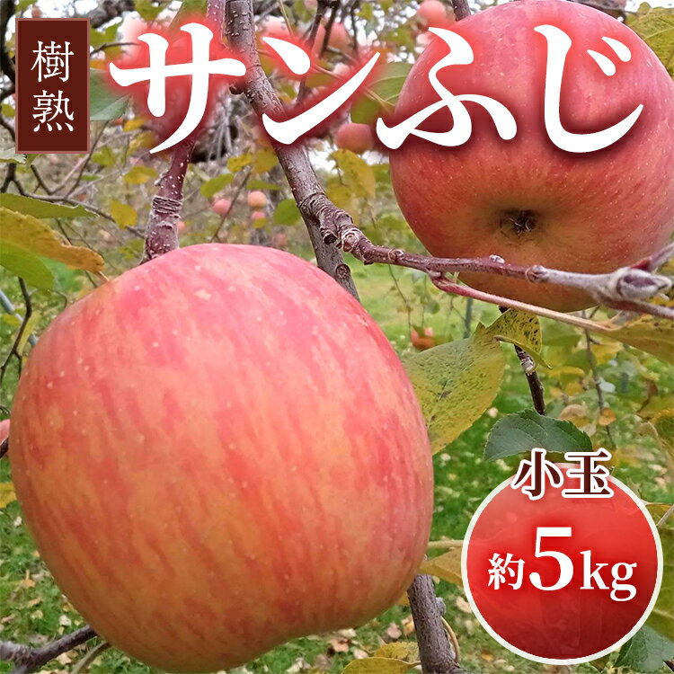 【早期予約】りんご 加積りんご 樹熟サンふじ小玉 約5kg｜ふじ 魚津市産 富山 リンゴ 林檎 くだもの 果物 フルーツ デザート 産地直送 富山県 ※北海道・沖縄・離島への配送不可 ※2025年12月上旬～2026年2月上旬頃に順次発送予定