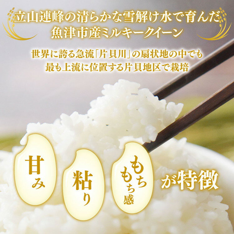 【ふるさと納税】＼選べる内容量・配送回数／【定期便】【令和7年度米】【農家直送】環境配慮「魚津のミルキークイーン（晃米）」（白米） ｜ MK農産 白米 銘柄米 ブランド米 ご飯 ※北海道・沖縄・離島への配送不可 - 画像2