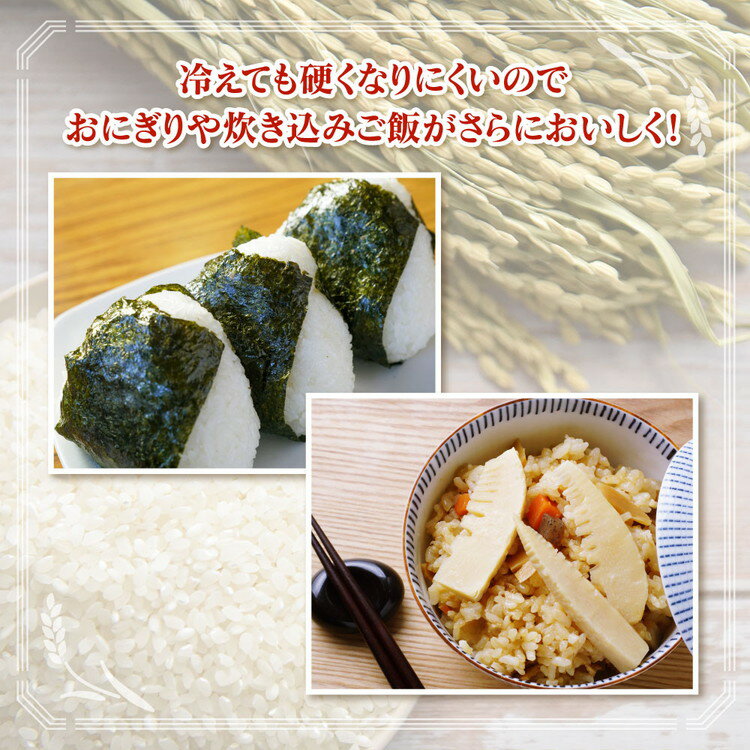 【ふるさと納税】＼選べる内容量・配送回数／【定期便】【令和7年度米】【農家直送】環境配慮「魚津のミルキークイーン（晃米）」（白米） ｜ MK農産 白米 銘柄米 ブランド米 ご飯 ※北海道・沖縄・離島への配送不可 - 画像3