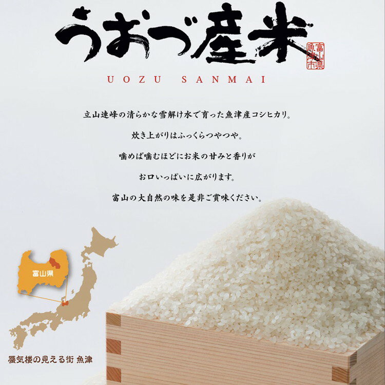 【ふるさと納税】【令和7年度米】＼選べる内容量・お届け回数／富山県 うおづ産米「コシヒカリ」（精米）｜定期便 こしひかり こめ コメ お米 おこめ 白米 精米 雪解け水 香り うまみ あまみ 冷めても 美味しい おにぎり お弁当 高品質 ※北海道・沖縄・離島への配送不可 サムネイル3