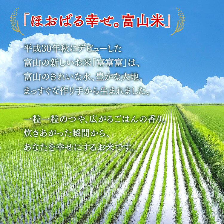 【ふるさと納税】【令和7年度米】＼選べる内容量・お届け回数／富山県産米「富富富」（精米）｜定期便 富富富 ふふふ こめ コメ お米 おこめ 白米 精米 ブランド米 雪解け水 冷めても 美味しい おにぎり お弁当 高品質 魚津市 ※北海道・沖縄・離島への配送不可 - 画像2