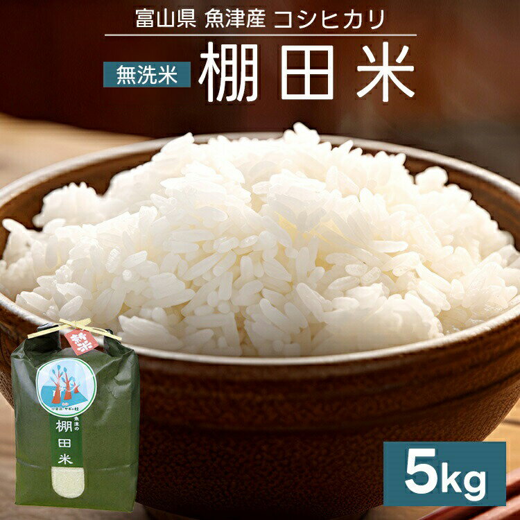 米 令和7年 コシヒカリ 5kg 無洗米 棚田米 ※北海道・沖縄・離島への配送不可