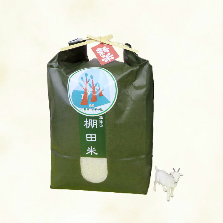 【ふるさと納税】米 令和7年 コシヒカリ 5kg 無洗米 棚田米 ※北海道・沖縄・離島への配送不可 - 画像2