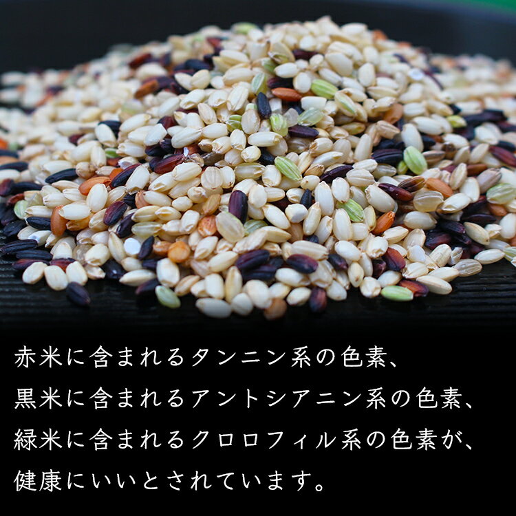 【ふるさと納税】古代米（玄米）1.5kg（300g×5袋） 富山県 ヤギの杜 魚津市 ｜ こめ コメ お米 おこめ 黒米 赤米 緑米 ビタミン びたみん ミネラル みねらる 伏流水 自慢 富山 魚津※北海道・沖縄・離島への配送不可 - 画像3