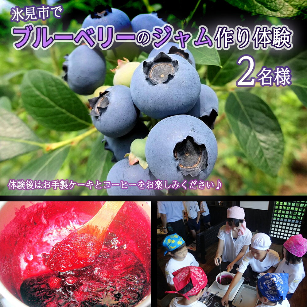 氷見市でブルーベリーのジャム作り体験 2名様●ケーキとコーヒー付き 富山県 氷見市 ジャム 作り 体験 ブルーベリー 子供