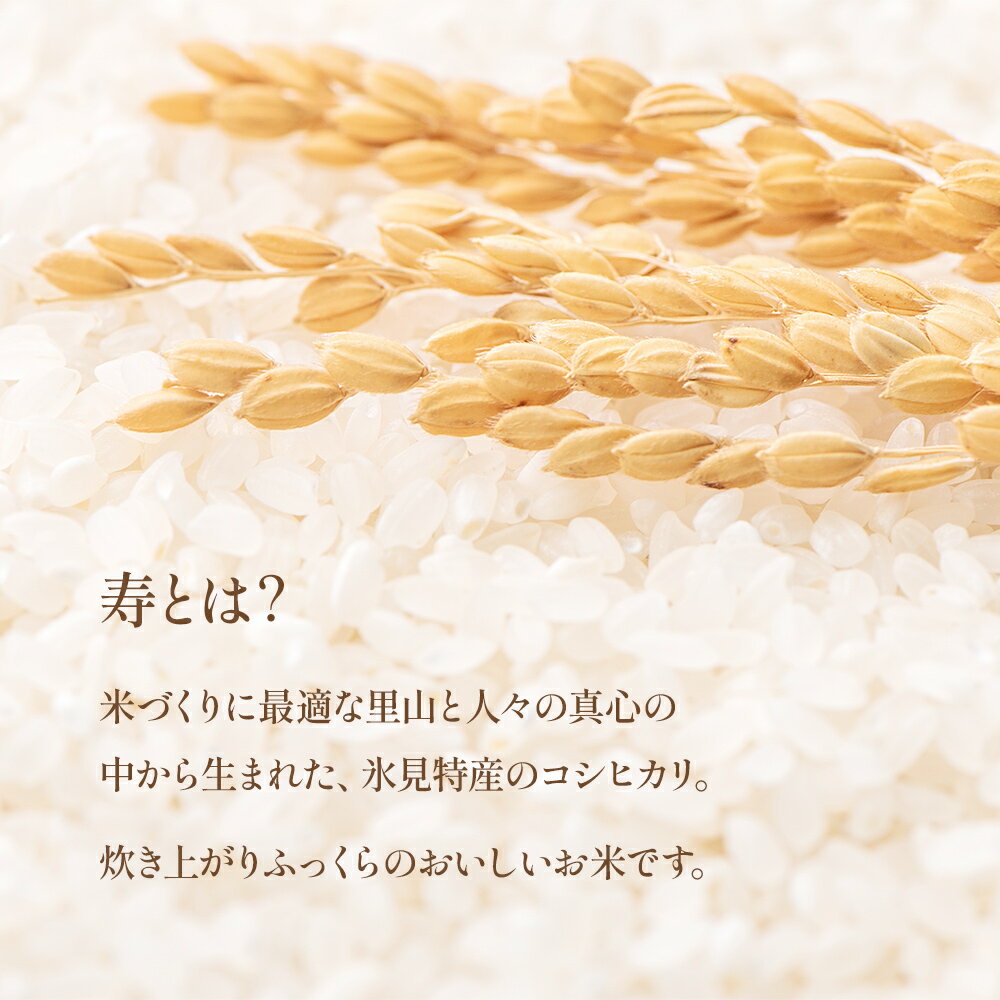 【ふるさと納税】＜3ヶ月定期便＞ 令和7年産 富山県産 コシヒカリ 《寿》 5kg 富山県 氷見市 米 こしひかり 5kg 定期便 - 画像3