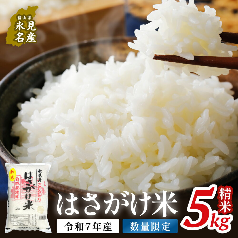 令和7年産 はさがけ米 精米5kg 富山県 氷見市 米 コシヒカリ こしひかり