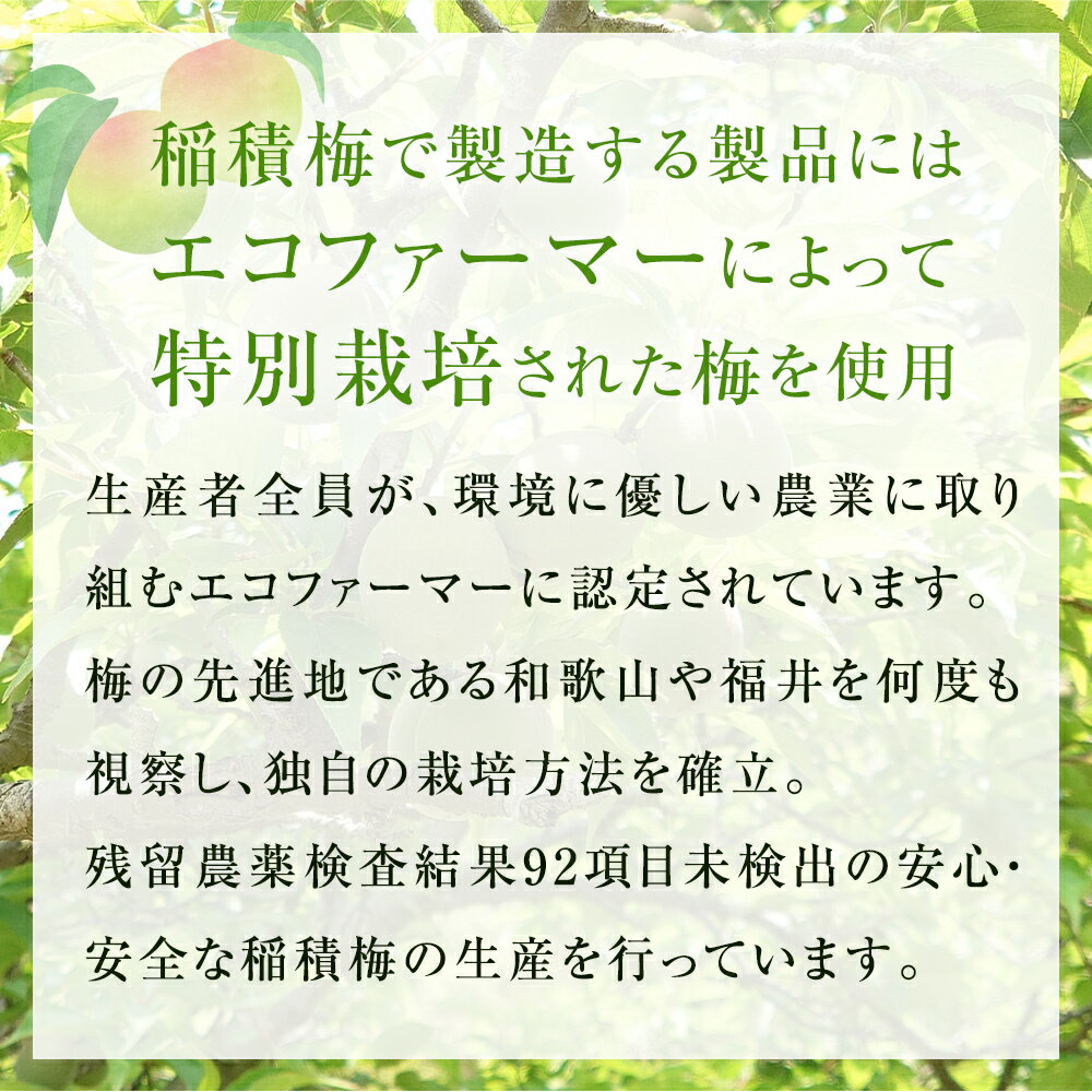 【ふるさと納税】氷見稲積梅酒原酒 2本セット（720ml×2本） ｜添加物不使用 富山県固有種 稲積梅使用 サムネイル3