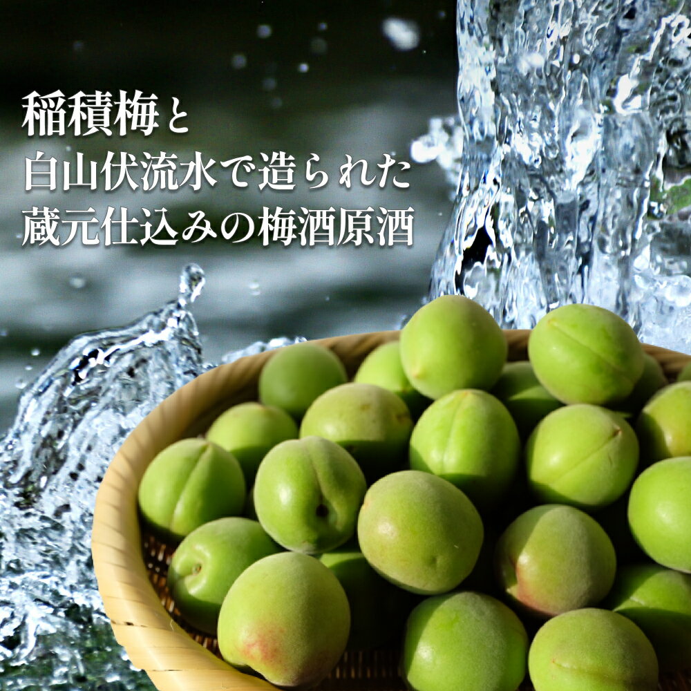 【ふるさと納税】氷見稲積梅酒原酒 2本セット（720ml×2本） ｜添加物不使用 富山県固有種 稲積梅使用 サムネイル2