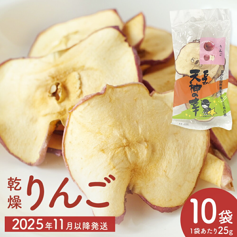 ＜先行受付＞乾燥りんご 25g × 10袋 ＜2025年11月以降順次発送＞ | 富山県 氷見市 ドライフルーツ 乾物 林檎 保存 スナック お菓子 スイーツ おやつ 果物 くだもの フルーツ 無添加 砂糖不使用