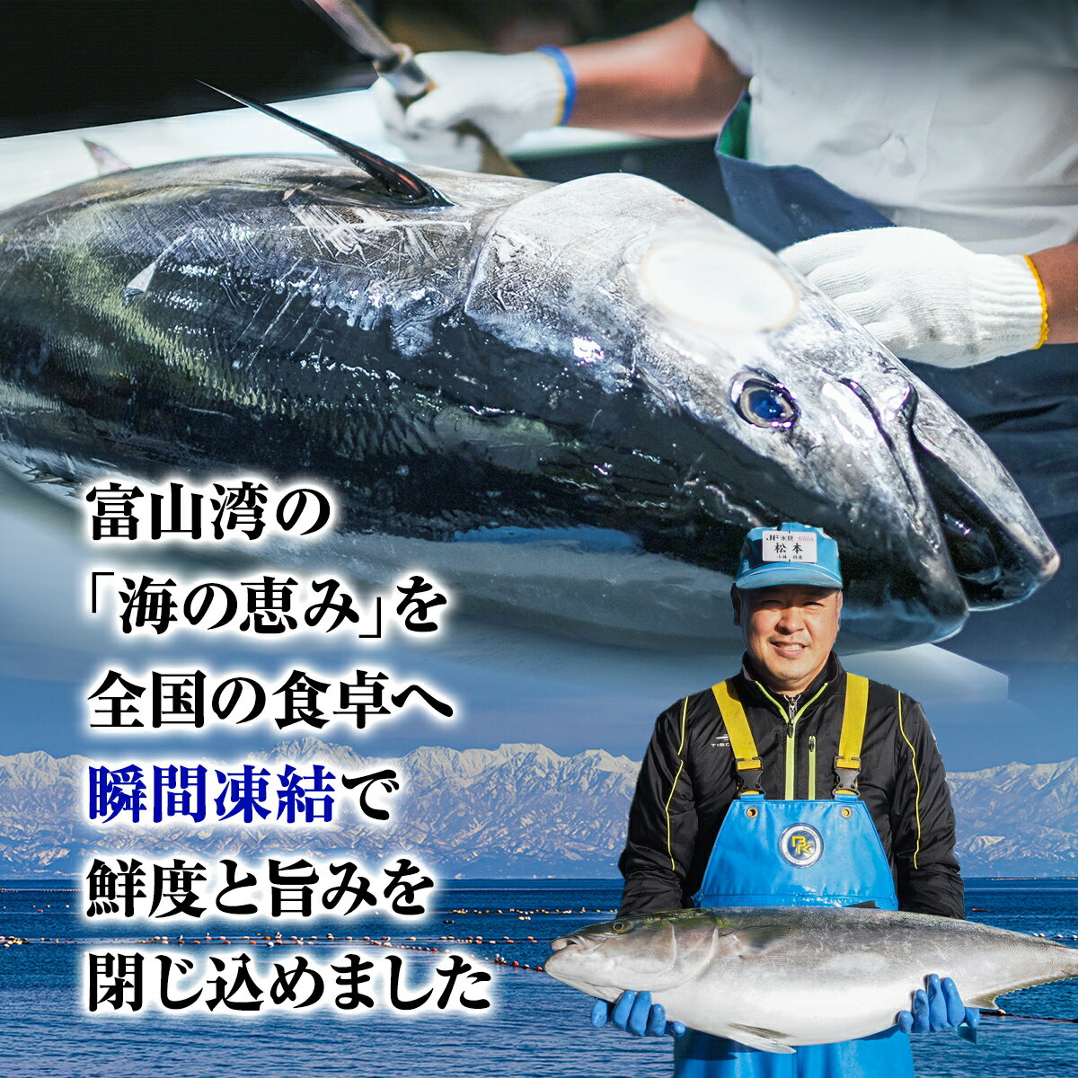 【ふるさと納税】《魚問屋直送》 氷見漁港で競り落としたお刺身詰め合わせセット 〈冷凍〉| 盛り合わせ 刺身セット サク 氷見漁港 柵 冷凍 瞬間凍結 切るだけ 国産 簡単調理 真空パック 富山 氷見 サムネイル3